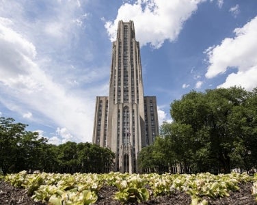 Photo of the Cathedral of Learning in the Summer