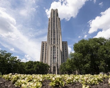 Photo of the Cathedral of Learning in the Summer